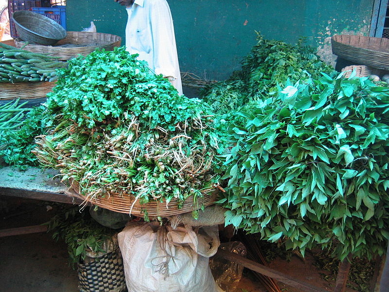 GntGongura1.jpg.