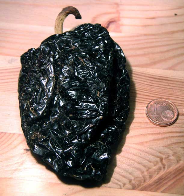 Dried ancho chili.jpg.