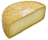 Bocardo cheese