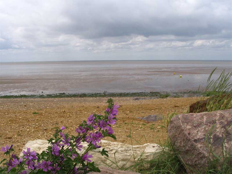 The Wash at Heacham.jpg.