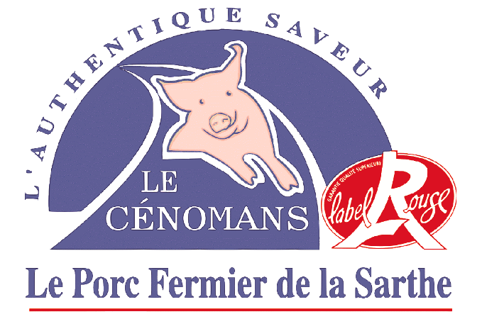 Porc de la Sarthe.jpg.