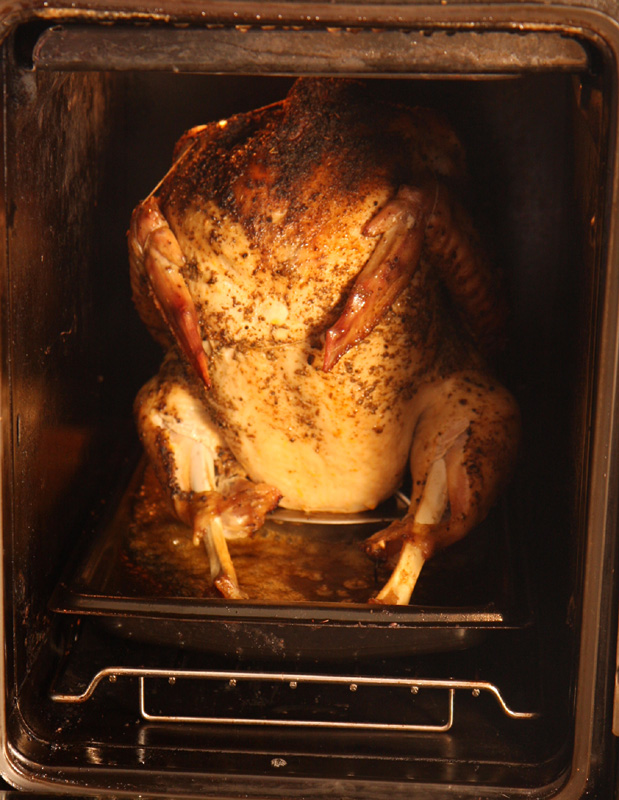 Christmas beer can turkey recipe