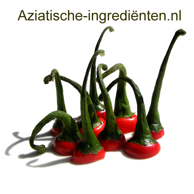 FotoosVanRobin Chilli.jpg.