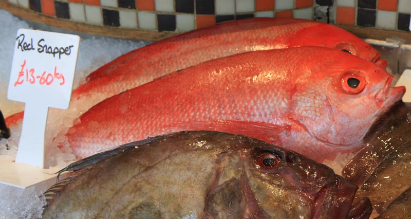 Red snapper.jpg.