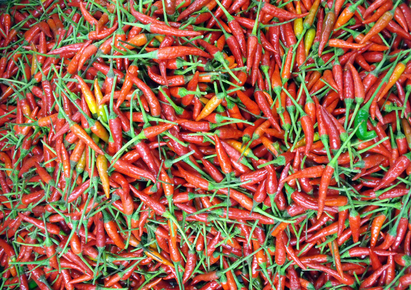 Chilli padi.jpg.