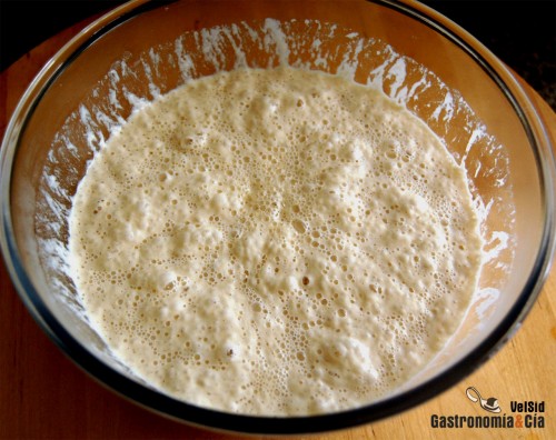 Poolish, French recipe