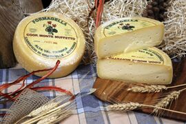 Formaggella della Val Trompia cheese