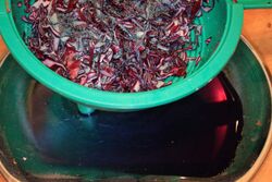 1 of 2 colanders of the salting cabbage after just 15 minutes