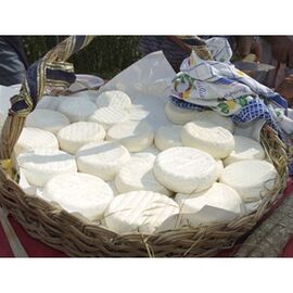 Robiola di Castel San Giovanni cheese