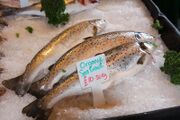 Sea trout at Borough Market
