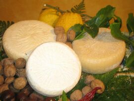 Pecorino di Vergato cheese