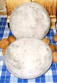 Caciotta di pecora cheese