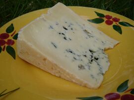 Bleu des Causses cheese