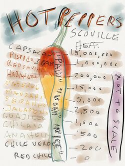 How are chillies graded by heat