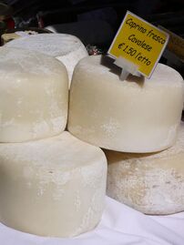 Caprino fresco cheese