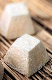 Raviggiolo di pecora senese cheese