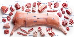 Illustrations of cuts normally available at a British butcher's shop