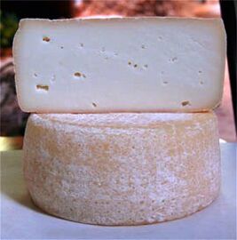 Caciotta di latte caprino cheese