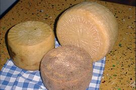 Pecorino Bagnolese cheese