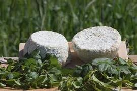 Ricotta stagionata di pecora cheese