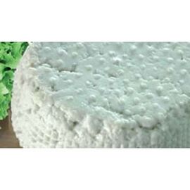 Ricotta essiccata di bufala cheese