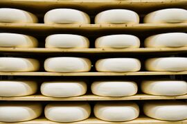 Hollandse geitenkaas (Dutch goats' cheese)