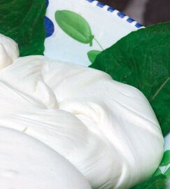 Fior di latte cheese