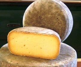 Stoney Cross cheese