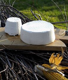 Ricotta di pecora cheese