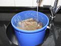 Rinse under cold running water for 2 hours