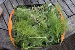 A thick bed of herbs over the top on a large chopped onion, on a Le Creuset grill pan