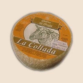 Queso de Collada cheese