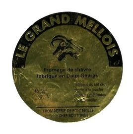 Le Grand Mellois cheese