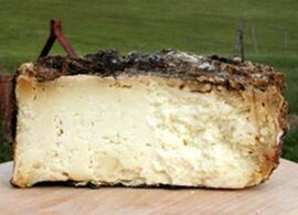 Pecorino in botte cheese