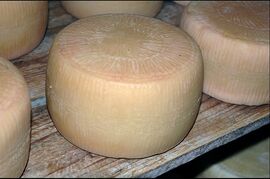 Pecorino del Monte Marzano cheese