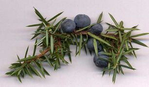 Juniper berries