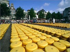 Old Alkmaar cheese