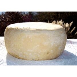 Cascio Pecorino lievito cheese