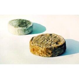 Pecorino a crosta fiorita cheese