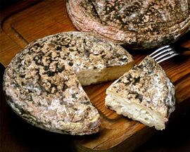 Mollana della Val Borbera cheese