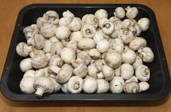unwashed mushrooms for soup