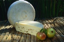 Pecorino primo sale cheese