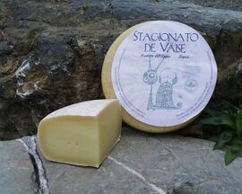 Stagionato de Vaise cheese
