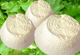 Ricotta di bufala Salata cheese