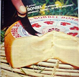 Bonbel cheese
