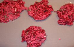 Beetroot rösti ready to fry