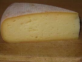 Bergues cheese