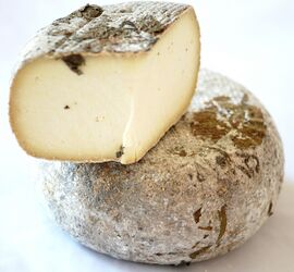Pecorino stagionato in foglie di noce cheese