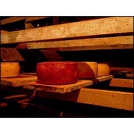 Pastorella del Cerreto di Sorano cheese