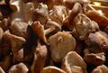 Shiitake mushrooms